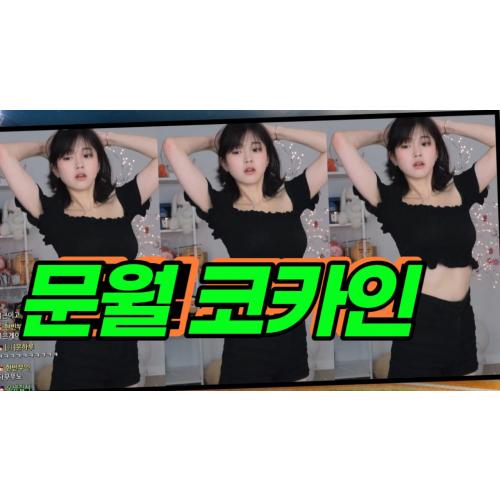 문월 코카인 ㄷㄷ