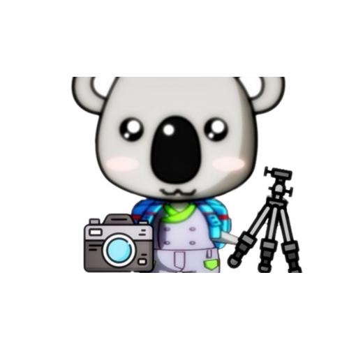 개추하는 직캠 유튜버 (koala LEE)