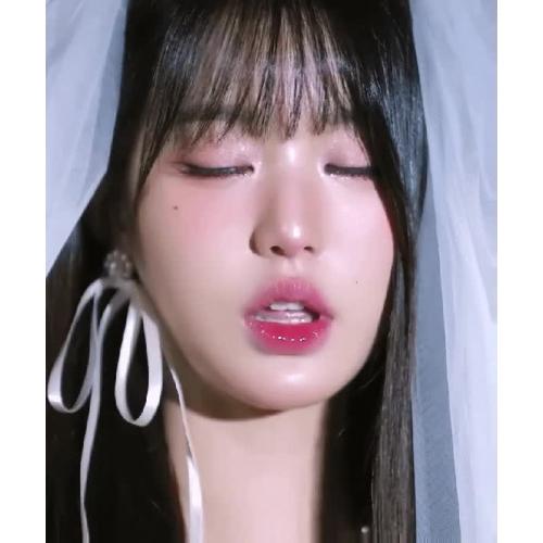 구설수 X UFC X 오직 직붕이들을 위해