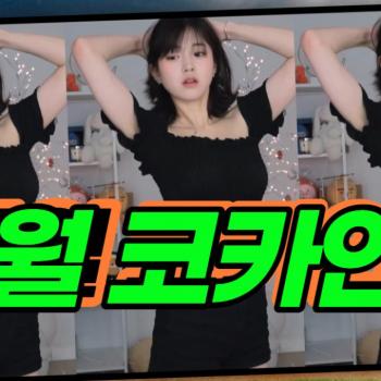 문월 코카인 ㄷㄷ