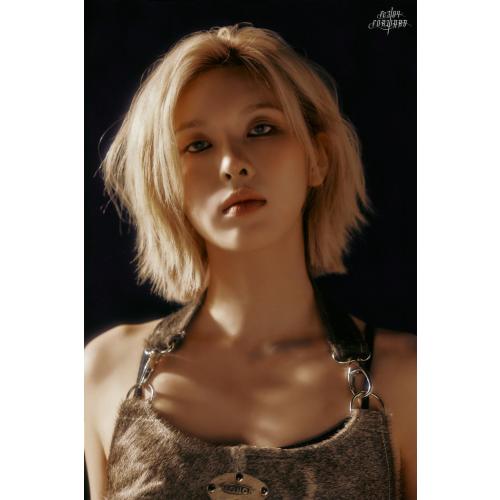 여보야 버블 너무 좋대